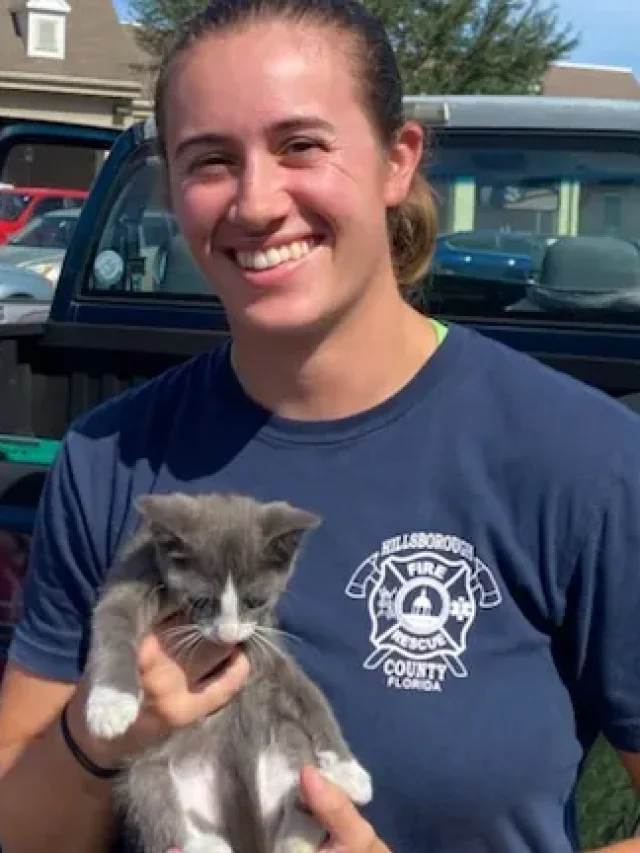 Heartwarming Rescue: Publix Manager Saves Stranded Kitten